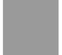 RAL 7004 