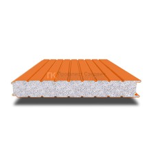 Сэндвич-панель для холодильных камер с пенополистиролом, ширина 1200 мм, толщина 60 мм, 0.5/0.5, RAL2004